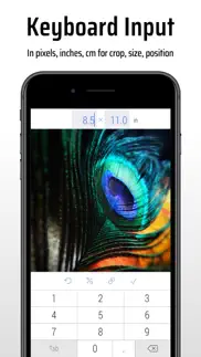 cropsize: precise photo resize iphone images 4