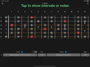 anyscale - tunings & scales ipad images 3