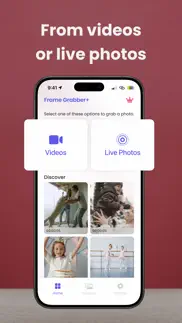 frame grabber+ video to photo iphone images 4