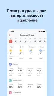 Яндекс Погода — онлайн-прогноз айфон картинки 4
