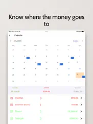 money manager - budget tracker iPad Captures Décran 3