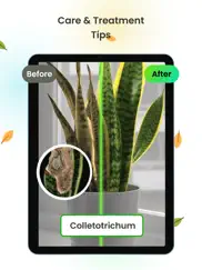 plant app - plant identifier айпад изображения 1