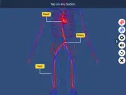 circulatory system ipad images 4