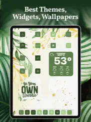 aesthetic widget 16,17 changer iPad Captures Décran 3