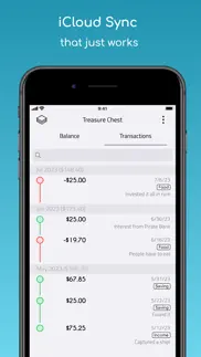 simple cashbook iphone images 3