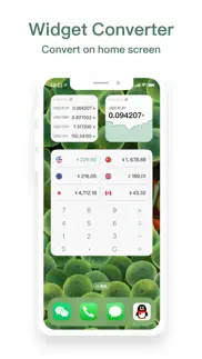 currency' converter iphone images 2