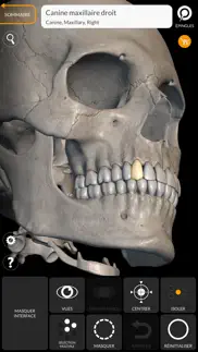 squelette anatomie 3d iPhone Captures Décran 1