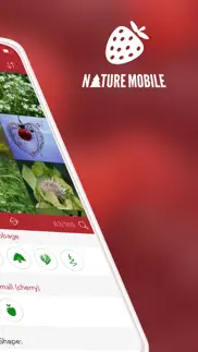 wild berries and herbs lite iphone capturas de pantalla 2