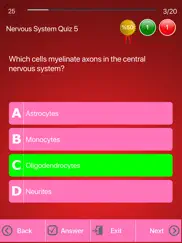 human nervous system trivia ipad images 3