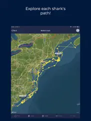 ocearch shark tracker ipad images 2
