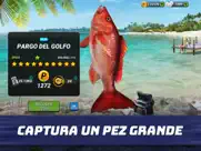 fishing clash: juego de pesca ipad capturas de pantalla 1