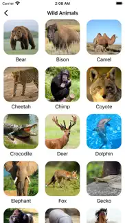 animal sounds pro farm jungle voices for kids iphone images 3