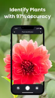 plantin: plante reconnaissance iPhone Captures Décran 1