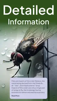 photo insect identifier bug id iphone resimleri 4