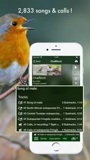 bird songs europe north africa iPhone Captures Décran 4