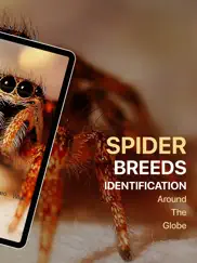 spiders identifier by photo id ipad resimleri 2