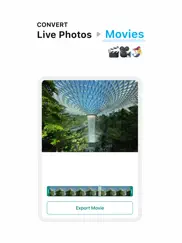 lively - photos to gif ipad images 2