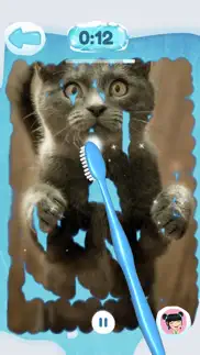 toothbrush fun timer iphone images 2