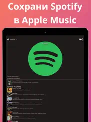 Плеер для apple Музыка: meows айпад изображения 1