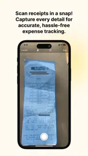 expense ai - expense tracker iphone resimleri 2