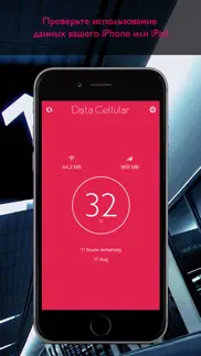 data cellular counter айфон картинки 1