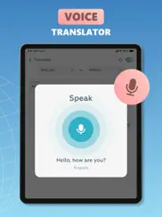 voice all language translator ipad images 2
