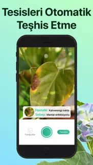 picturethis-bitki tanımlayıcı iphone resimleri 4