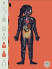 el cuerpo humano por tinybop ipad capturas de pantalla 2