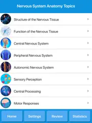 human nervous system anatomy ipad resimleri 2