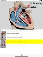 visual anatomy ipad capturas de pantalla 3