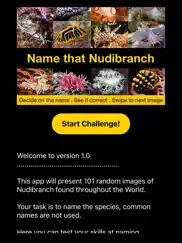 name that nudibranch ipad images 1