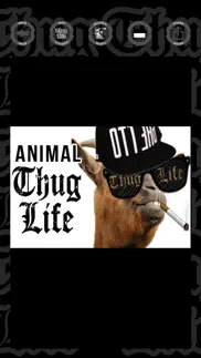 thug life photo sticker iphone images 1