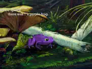the purple frog ipad images 2