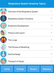 respiratory system anatomy ipad images 2