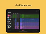 sand: sequencer for auv3, midi ipad images 1