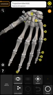 skeleton 3d anatomy iphone resimleri 4