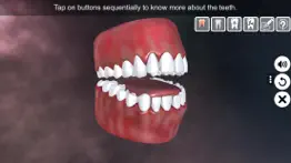 incredible human teeth iphone images 2