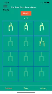 ancient arabian scripts iphone images 3
