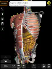 anatomy 3d atlas ipad resimleri 1