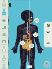 el cuerpo humano por tinybop ipad capturas de pantalla 1