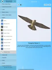 chirp! bird songs & calls usa ipad images 2