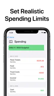 openbudget - budget and save iphone images 4