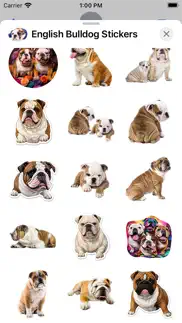 english bulldog stickers iPhone Captures Décran 4