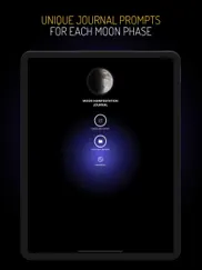 moon manifestation diary ipad images 4
