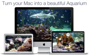 aquarium live hd screensaver iphone resimleri 1