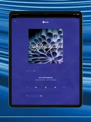 bose music iPad Captures Décran 4
