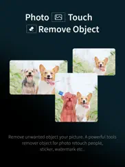 object removal - retouch fix iPad Captures Décran 1