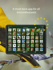 bird songs europe north africa iPad Captures Décran 2