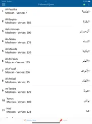 tafheem ul quran - in english ipad images 4