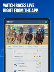 fanduel racing - bet on horses ipad images 3